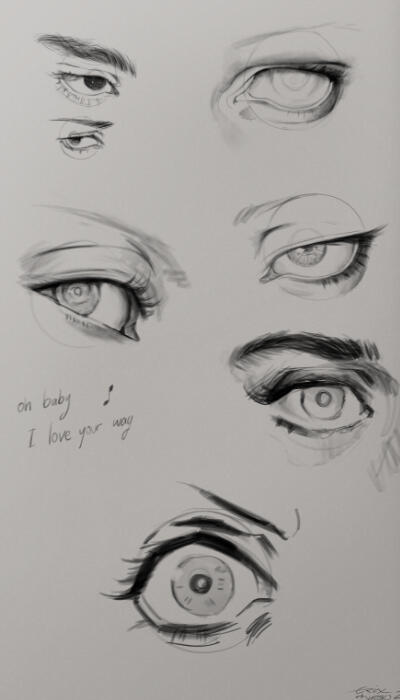 Studies